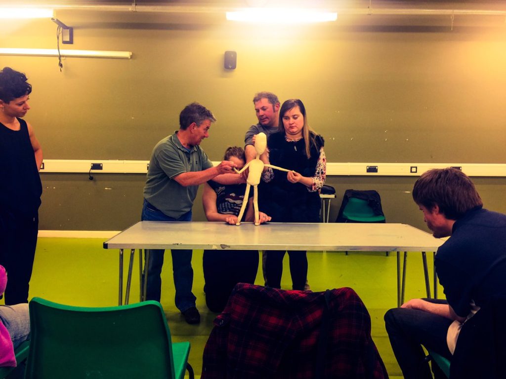 Participants look at and touch puppets