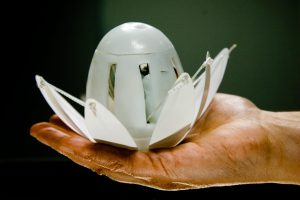 A white haptic lotus sits, opened in the palm of a hand 