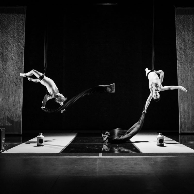 A black and white wide landscape shot of two white women on aerial silks mid-fall
