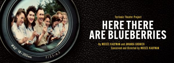 A landscape Theatre poster with a black texture background. To the left a circular lens which shows 8 people outside, eating from small bowls. To the right, in small yellow text, which reads 'Tectonic Theatre Project'. Below this in large white text, 'Here There Are Blueberries'. Below this in smaller yellow text, 'Written by Moisés Kaufman & Amanda Gronich Conceived and Directed: Moisés Kaufman'.
